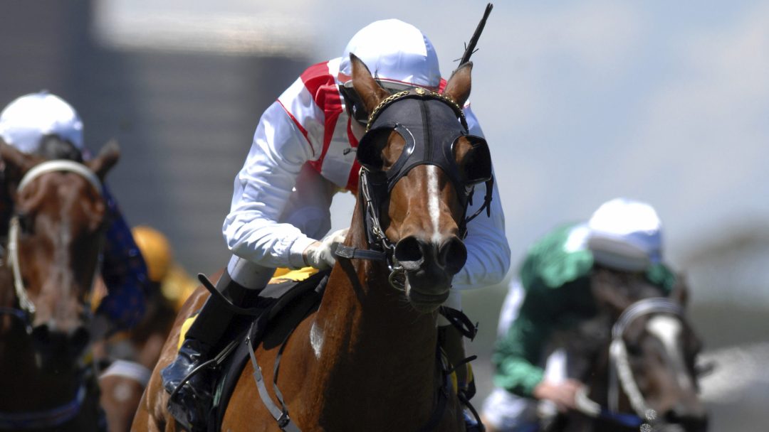 Close look at a horse racing with a jockey with other horses in the background