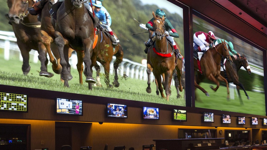 a photo of the race and sports book with horse racing on the screen