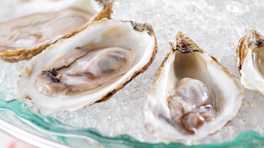 an image of fresh oysters on ice