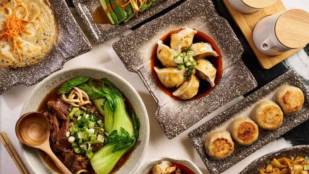 Pot Stickers at Shang Artisan Noodle