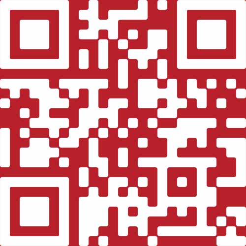 STN Mobile App QR Code