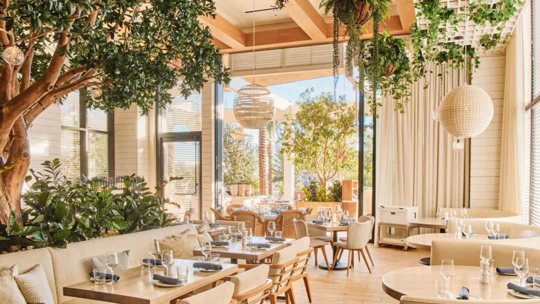 Summer House Terrace Daytime